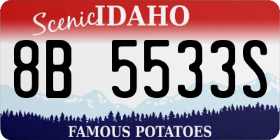 ID license plate 8B5533S