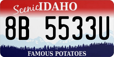 ID license plate 8B5533U