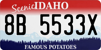 ID license plate 8B5533X