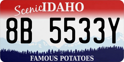 ID license plate 8B5533Y
