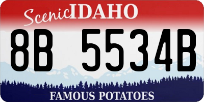 ID license plate 8B5534B