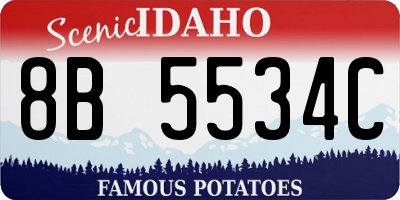 ID license plate 8B5534C