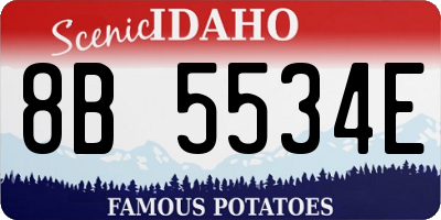 ID license plate 8B5534E