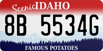 ID license plate 8B5534G