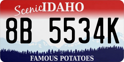 ID license plate 8B5534K