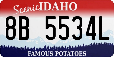 ID license plate 8B5534L