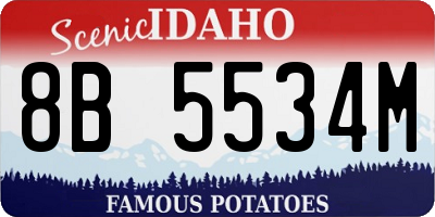 ID license plate 8B5534M