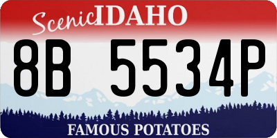 ID license plate 8B5534P