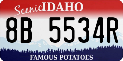 ID license plate 8B5534R