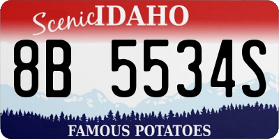 ID license plate 8B5534S