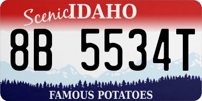 ID license plate 8B5534T