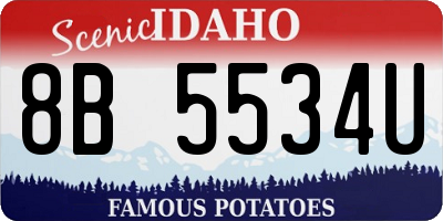 ID license plate 8B5534U