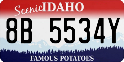 ID license plate 8B5534Y