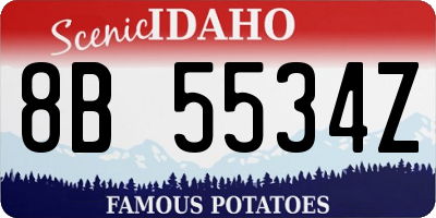 ID license plate 8B5534Z