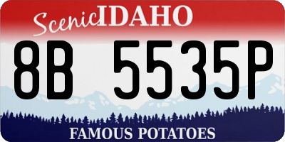 ID license plate 8B5535P