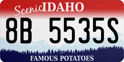 ID license plate 8B5535S
