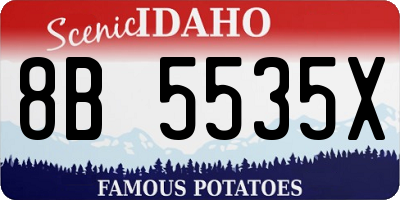 ID license plate 8B5535X