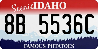 ID license plate 8B5536C