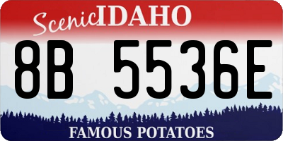 ID license plate 8B5536E