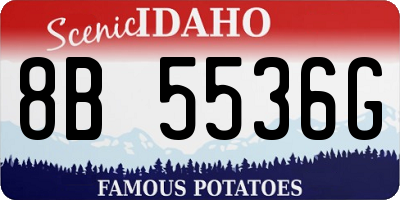 ID license plate 8B5536G