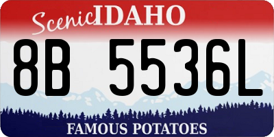 ID license plate 8B5536L