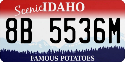 ID license plate 8B5536M