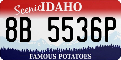 ID license plate 8B5536P