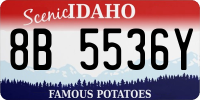 ID license plate 8B5536Y