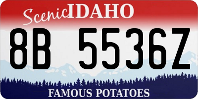 ID license plate 8B5536Z