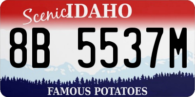 ID license plate 8B5537M