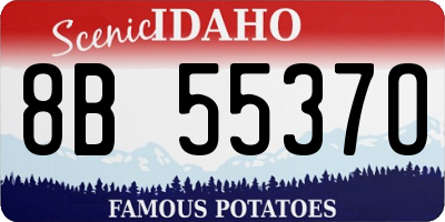 ID license plate 8B5537O