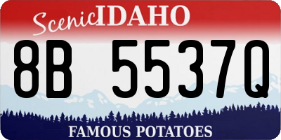 ID license plate 8B5537Q