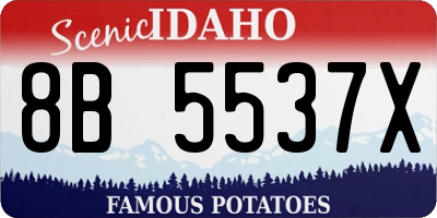 ID license plate 8B5537X