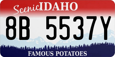 ID license plate 8B5537Y