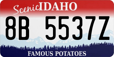 ID license plate 8B5537Z