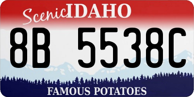 ID license plate 8B5538C
