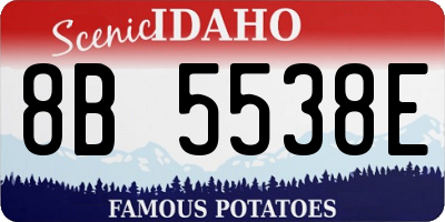 ID license plate 8B5538E