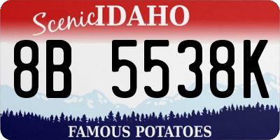 ID license plate 8B5538K