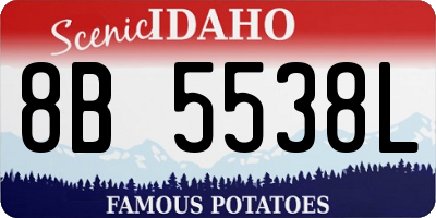 ID license plate 8B5538L