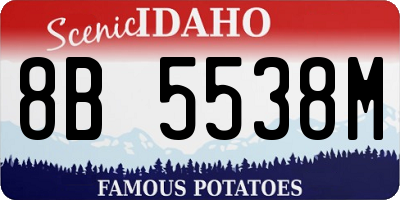 ID license plate 8B5538M