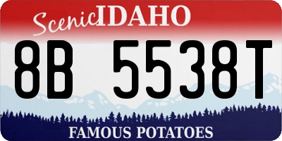 ID license plate 8B5538T