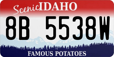 ID license plate 8B5538W