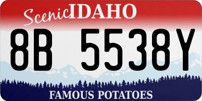 ID license plate 8B5538Y