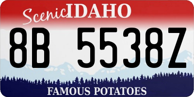 ID license plate 8B5538Z