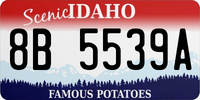 ID license plate 8B5539A