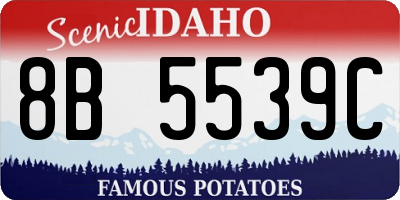 ID license plate 8B5539C