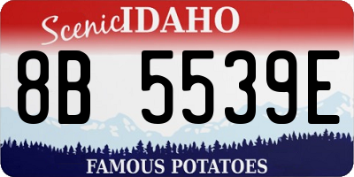 ID license plate 8B5539E