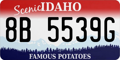 ID license plate 8B5539G