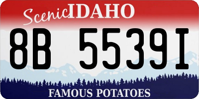ID license plate 8B5539I