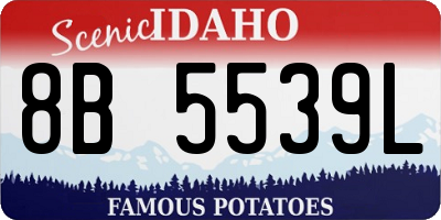 ID license plate 8B5539L